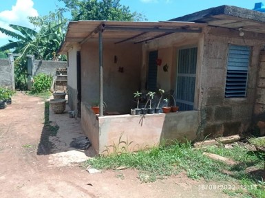 latest property