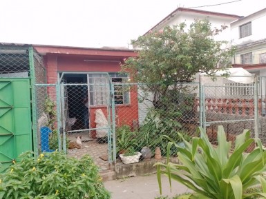 latest property