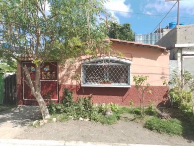 latest property