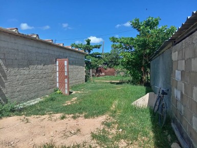 latest property