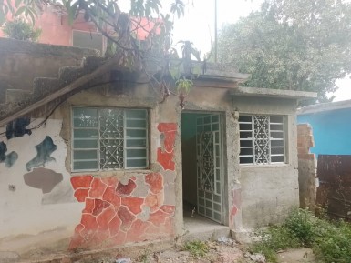 latest property