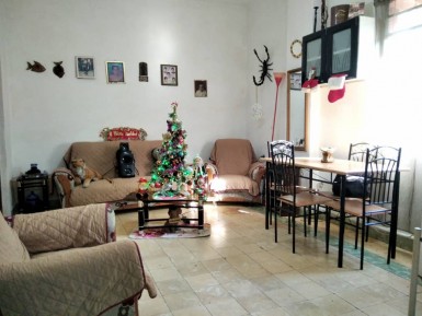 latest property