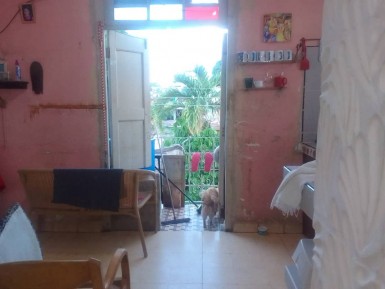 latest property