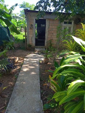 latest property