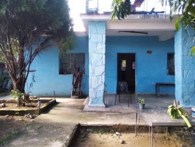 latest property