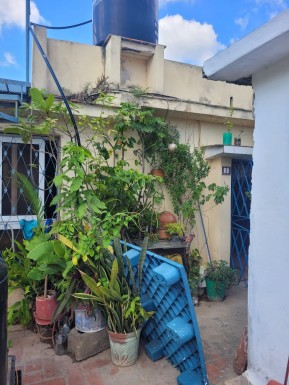 latest property