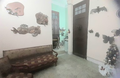 latest property
