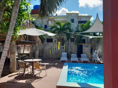 latest property