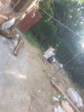 latest property