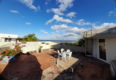 latest property