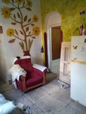 latest property