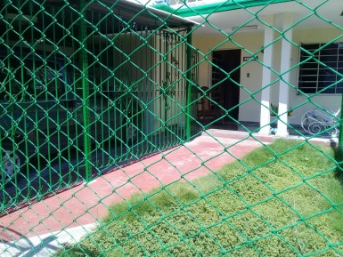 latest property