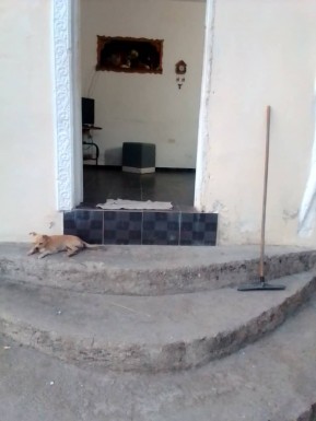 latest property