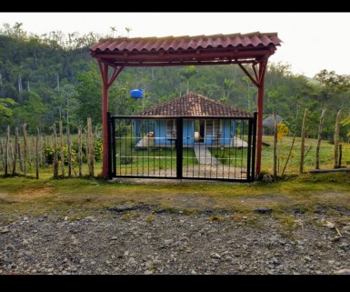 latest property