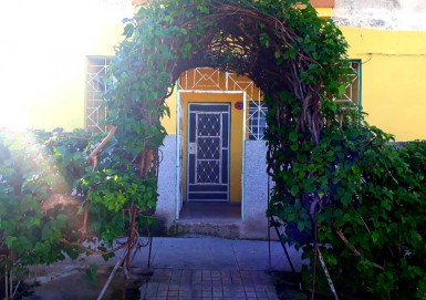 latest property