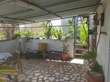 latest property