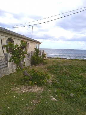 latest property