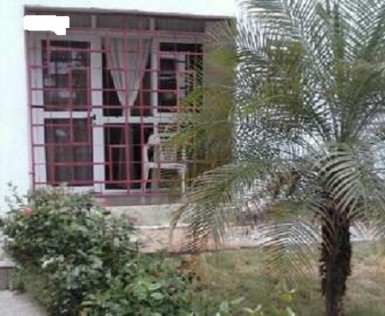 latest property
