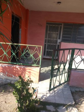 latest property