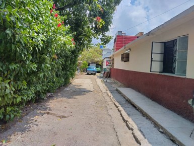 latest property