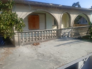 latest property