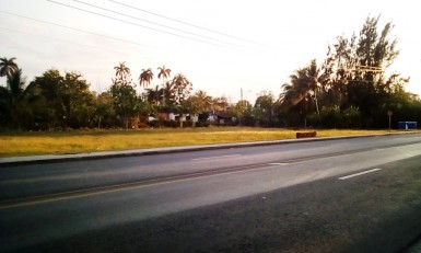 latest property