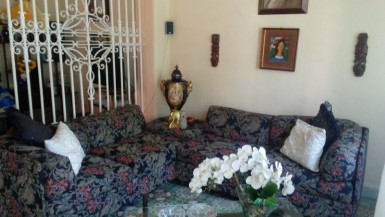 latest property