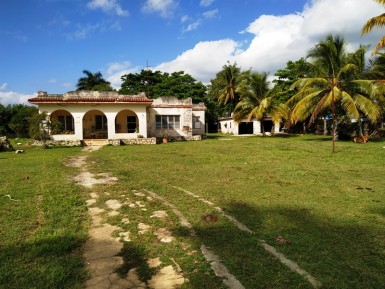 latest property