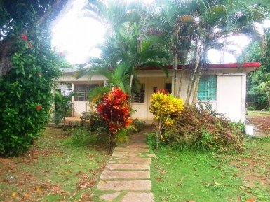 latest property