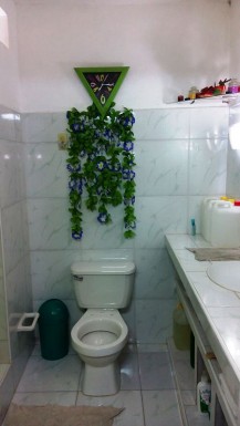 latest property