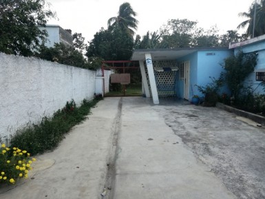 latest property