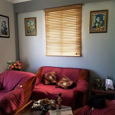 latest property