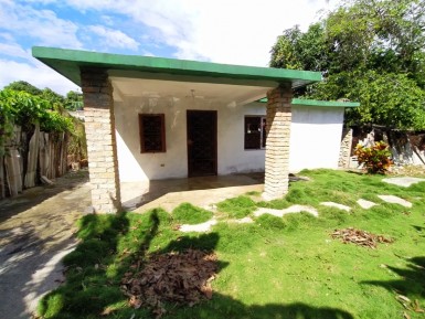 latest property