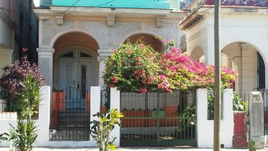 latest property