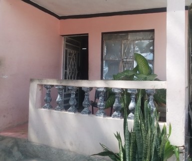 latest property