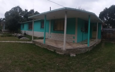 latest property