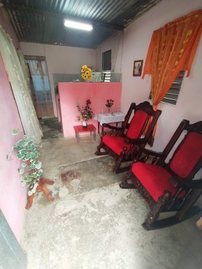 latest property