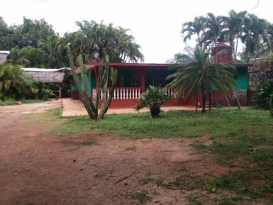 latest property