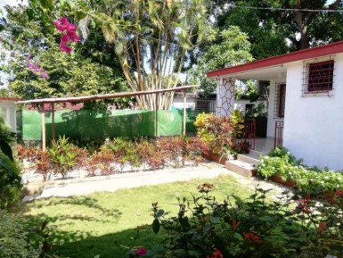 latest property