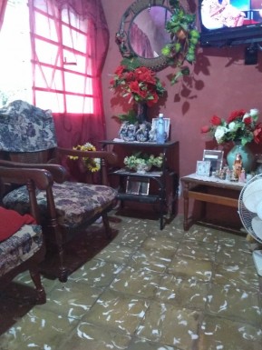 latest property