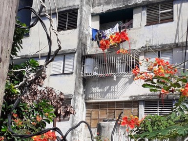 latest property