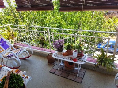 latest property