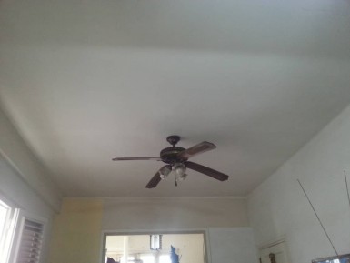 latest property