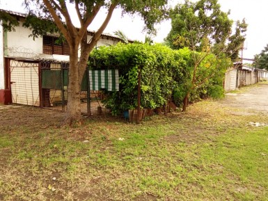 latest property