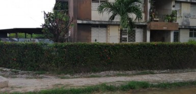 latest property