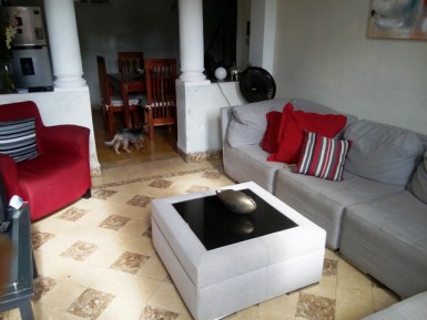 latest property