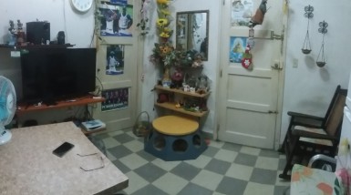 latest property