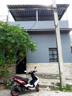 latest property