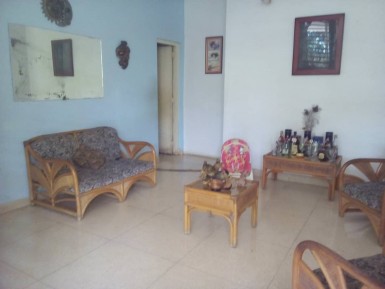 latest property