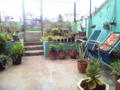 latest property